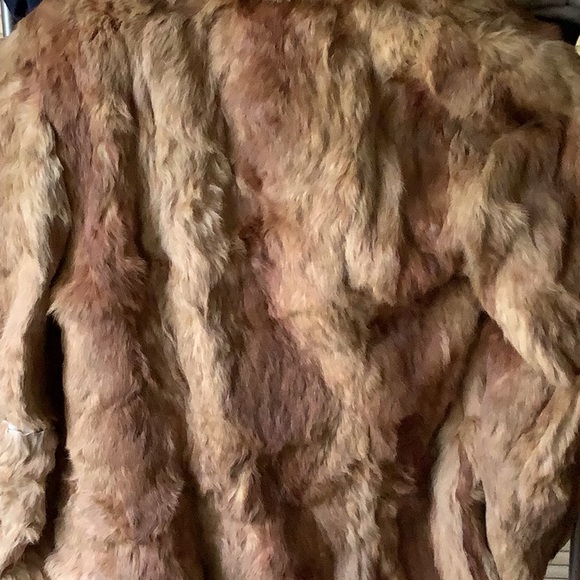 Kamal quality natural rabbit - Picture 1 of 3